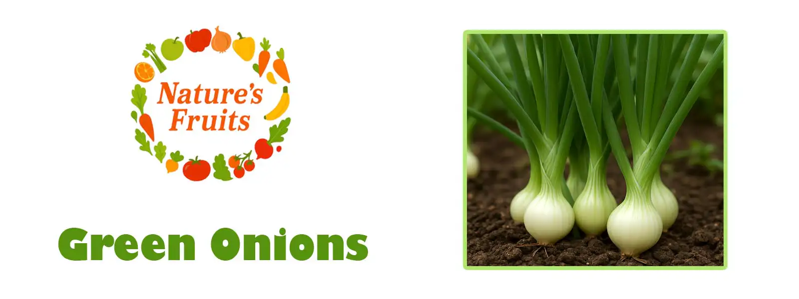 Green Onions