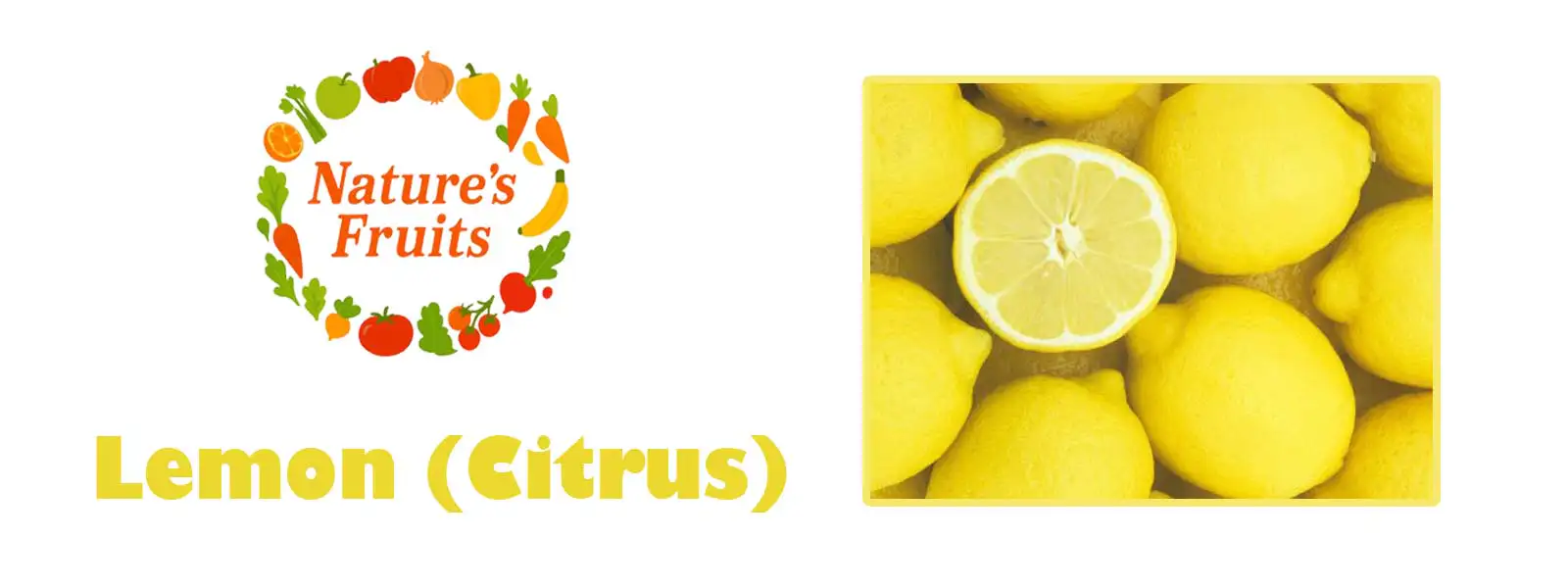 Lemon (Citrus)