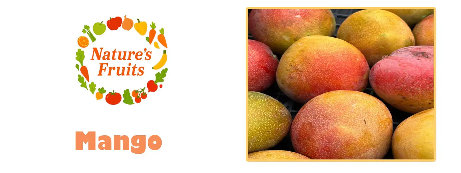 Mango