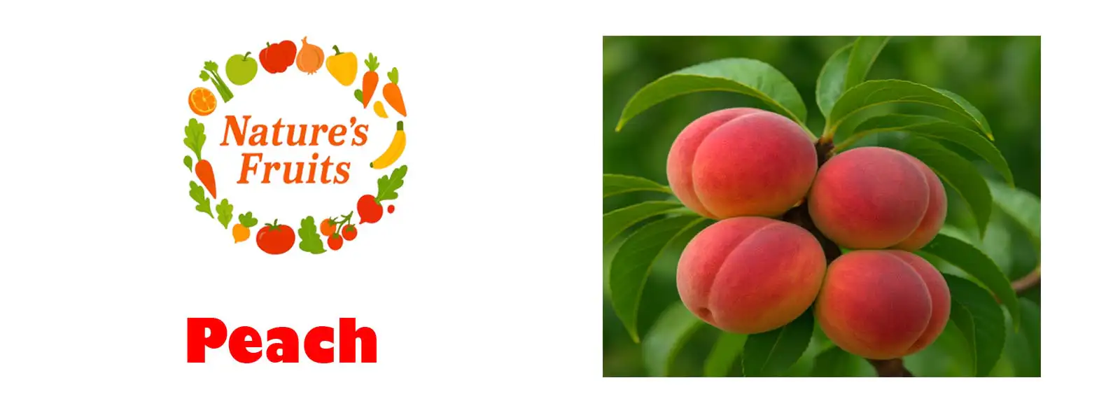 Peach