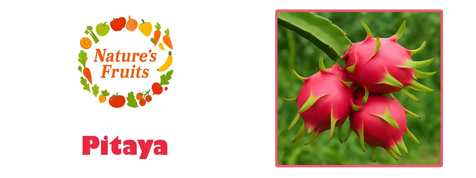 Pitaya