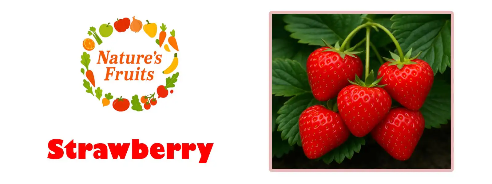 Strawberry1