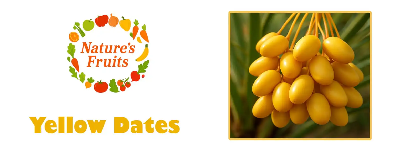 Yellow Dates